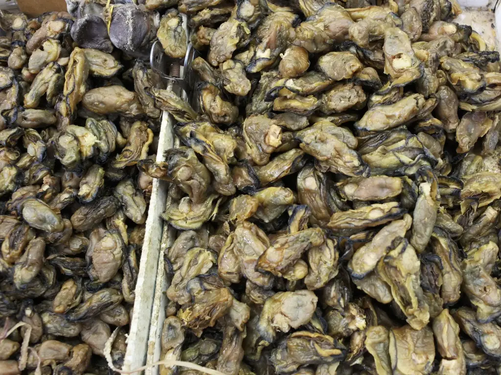 Dried Oysters (蠔豉)