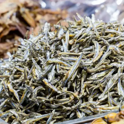 江魚仔