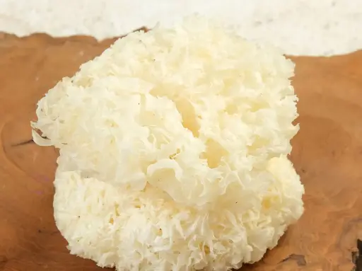 Dried White Fungus (銀耳)